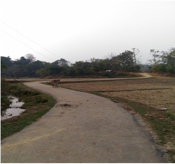 Construction of Link road from PWD road to Tibapara.