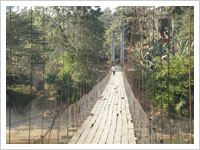 Suspension footbridge over Bugai river at Ruga Songmong
